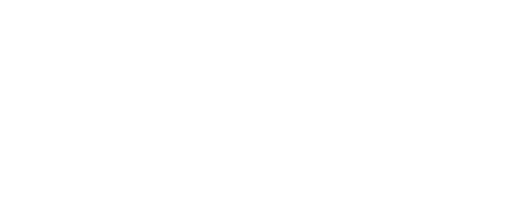 Digital Skills for Women Logo